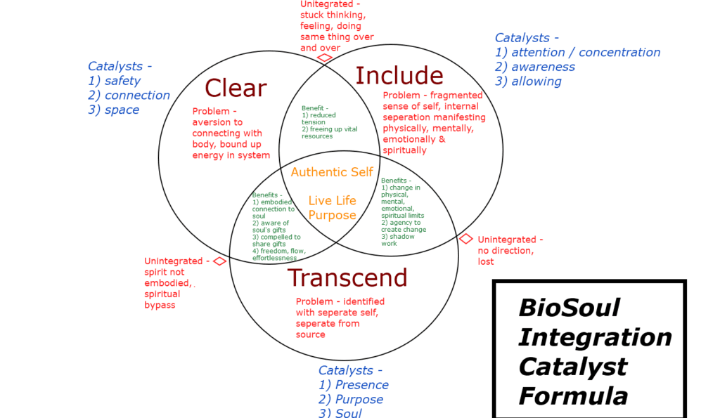 biosoul integration catalyst formula