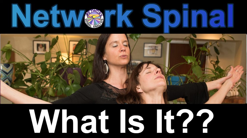 what is network spinal analysis