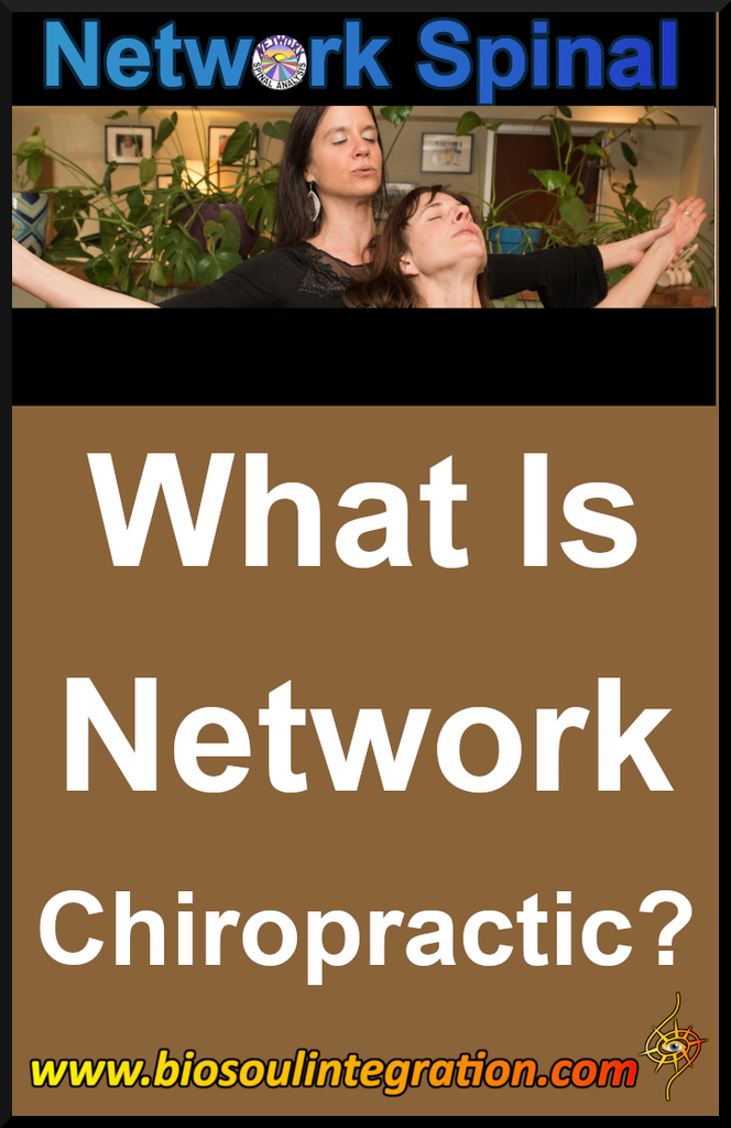what is network spinal analysis