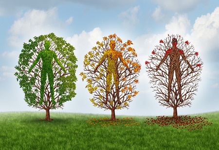 seasons of health healing in the metaverse
