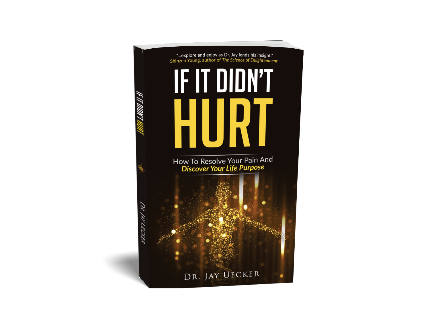 If It Didn't Hurt: How To Resolve Your Pain and Discover Your Life Purpose
