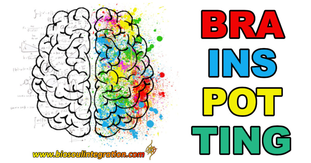 A brain logical left side creative right side
