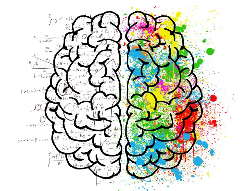 the primal brain